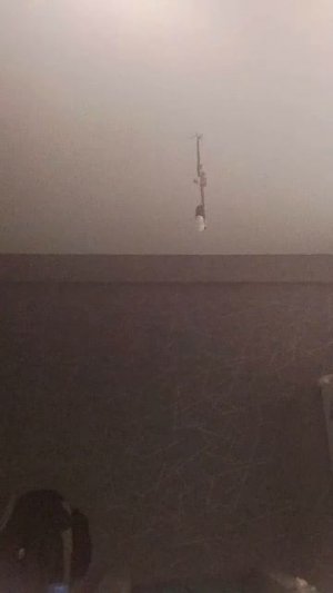 АЛЛАГЬ установит суд в день воскрешения❤️