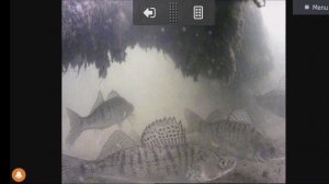 Глубина 5 метров днём