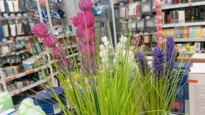 Кофиек и шмортик ой тортик