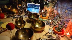 НАБОР 5 ЧАШ  Б151 Б179 Б208 Ф305 Ф548 Гц   4.3кг