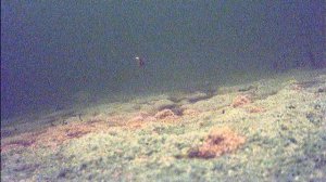 FILE190101-044443-000032F