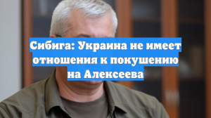 Сибига: Украина не имеет отношения к покушению на Алексеева
