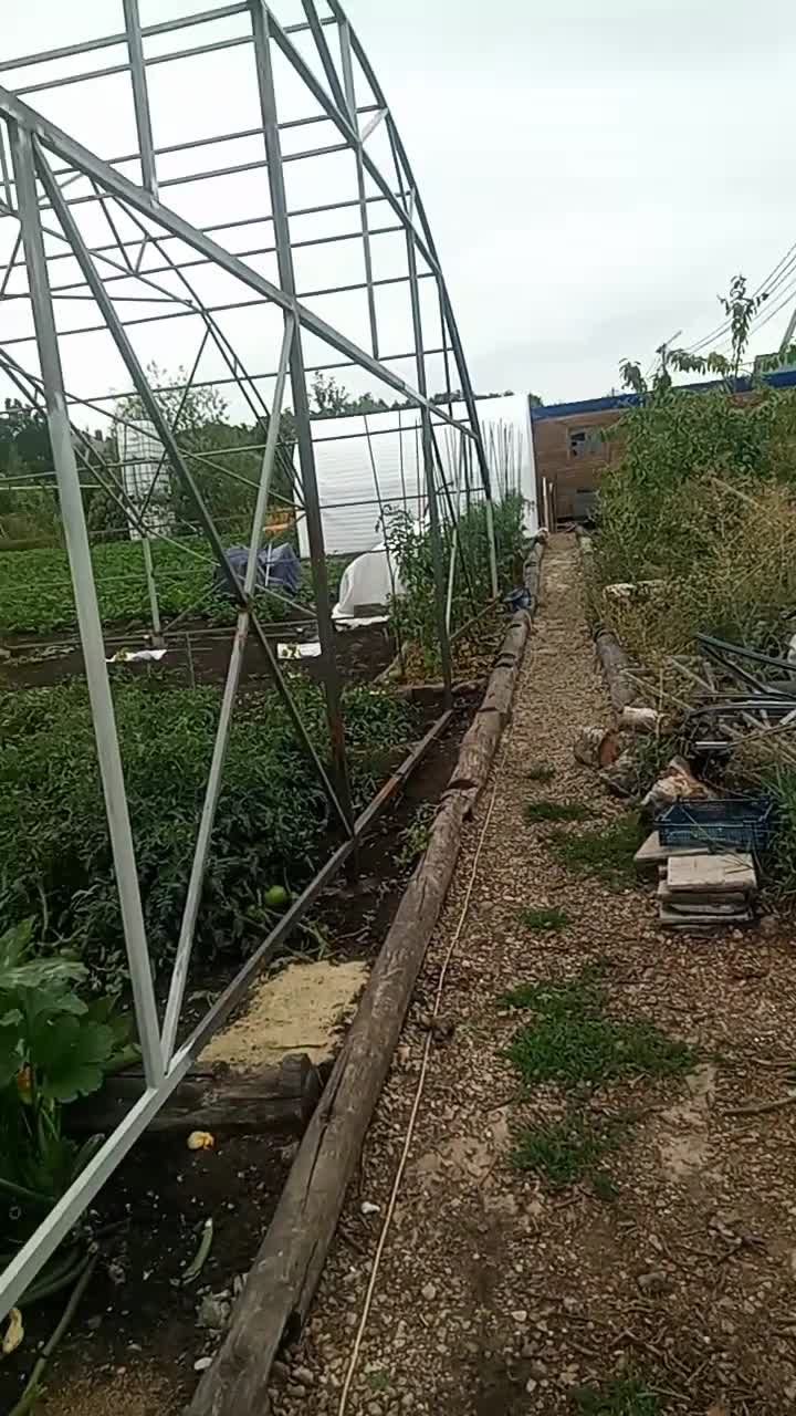 Всем привет. Как в песенке точно поется. Пусть дожди сегодня подождут. Для меня сегодня пока есть…