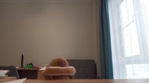 Дискотека под Ultra Violence