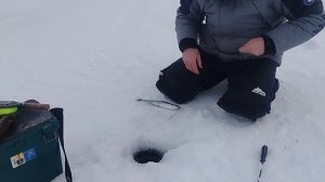 На омуля в 2026!!! Открываем сезон