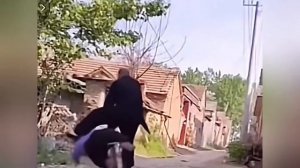 Твой китайский дед