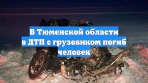 В Тюменской области в ДТП с грузовиком погиб человек