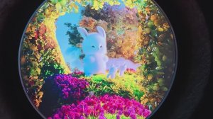 Парк Галицкого, видеоинсталляции