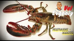 "Молчание - золото"