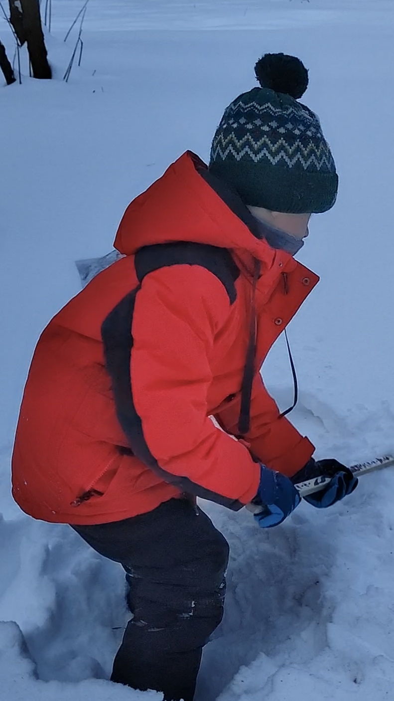 Помните, как ковры выбивали зимой? #shorts смотреть онлайн