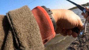 Ловлю карпов в сильный ветер на фидеры!