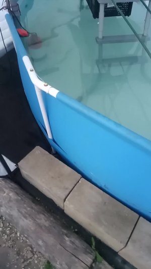 Вот как то так  самая рання грядка с помидорами  и очистка + замена фильтров в бассейне. Решил чт...