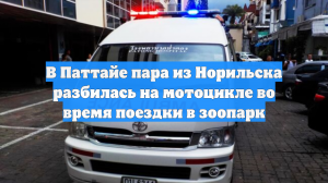В Паттайе пара из Норильска разбилась на мотоцикле во время поездки в зоопарк