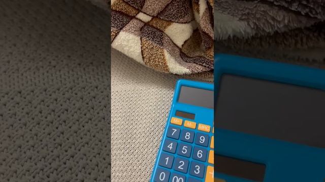 1000042524.mp4 смотреть онлайн