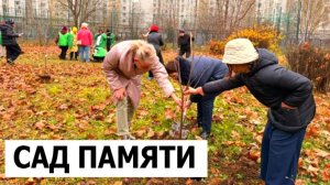 Зеленое сердце Новокосино: Ветераны и школьники сажают Будущее