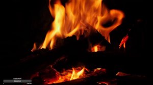 Ночная симфония костра в лесу (Звук костра Live для сна)