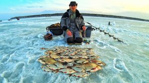 О такой рыбалке мечтает каждый