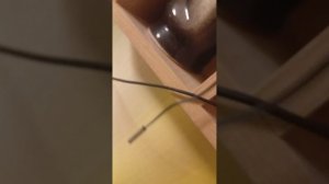 СПРАШИВАЕМ У АЛИСЫ КОГДА БУДЕТ ВЗЛОМ КАРУСЕЛЬ!!! 1 часть