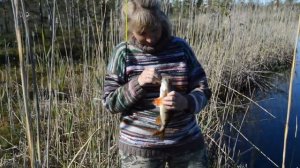 Летняя рыбалка | Семейный выезд на озеро | Наловили окуней
