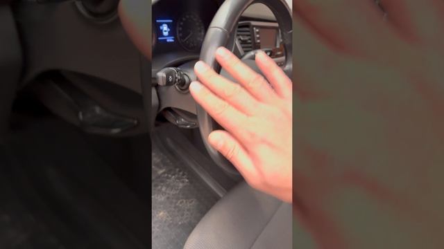 IMG_4602 смотреть онлайн