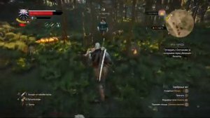 Ведьмак 3_ Дикая Охота