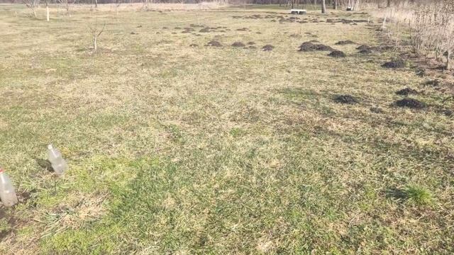 Мостовскоой р-он, Кубань. Пара теплых дней