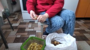 08-02-2026 Меня морозит / сшила носок для Куклы / козы.