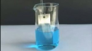 Химия 8 класс. Практическая работа 7. Взаимодействие железа с сульфатом меди