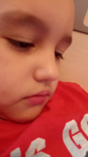 Мишка играет