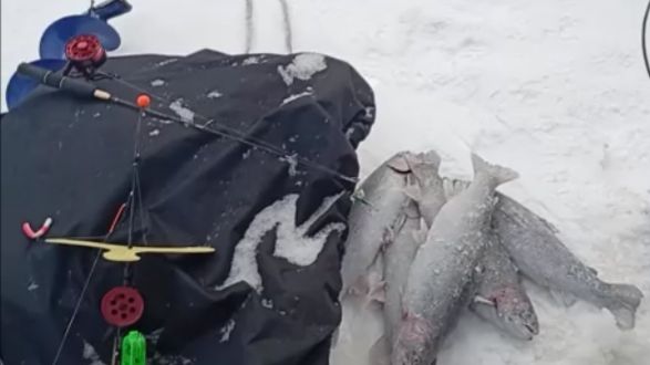 Продолжаем ловить на Спорт-зоне. Клёвое место Лосиный остров. смотреть онлайн