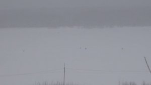 Где рыбачат Рыбаки Самые стойкие Снегопад Сильный ветер Чебоксарская ГЭС Ковш 8 02 2026