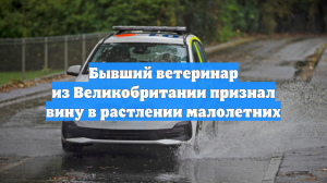 Бывший ветеринар из Великобритании признал вину в растлении малолетних