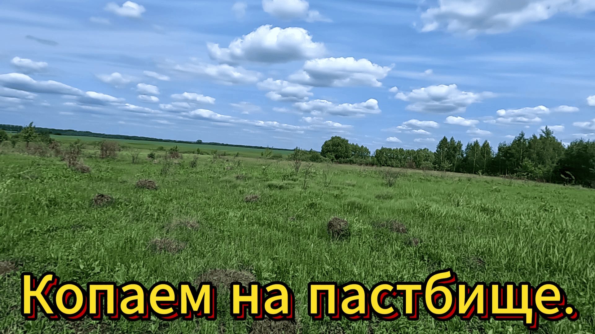 Приборный поиск. Пастбище.