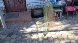 Хапуга рыболовная ЛОВЧАЯ