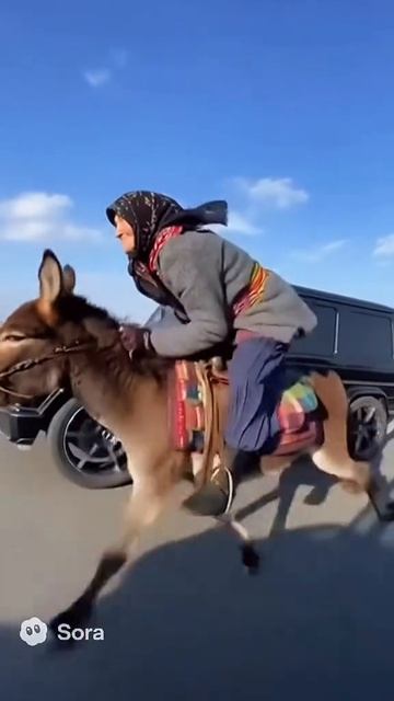 Учись ездить пока бабка жива..