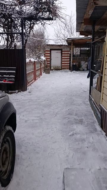 Во дворе с малышами. Выпал снег.
