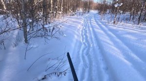 Вылазка в лес.Морозно и снежно! 07.02.2026