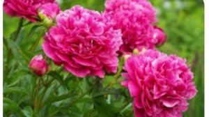 Туровская яжеНемать/ обзор новостей за неделю 😜