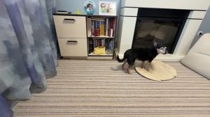 08.02.26 Сергей варит суп❗️Как проходит выходной. Шашлык в духовке 💥