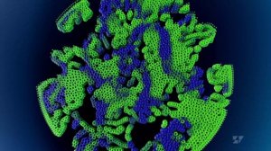 TTT_200824_Micro_Cells_v001