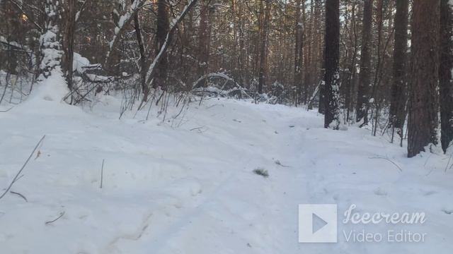 Выгорание, любовь к жизни, деньги. Часть 5