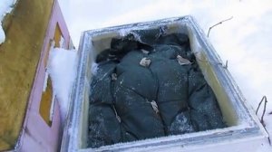 февраль , прошло 7 дней после дачи подкормки, смотрю  результат, 8.02.2026