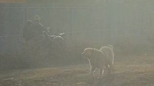 Мотоцикл Урал Ирбит.mp4