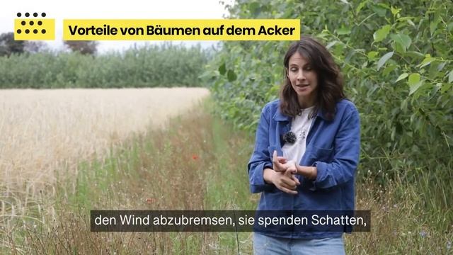 Агролесоводство спасает землю!