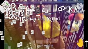 ⬜ alphabet dancing