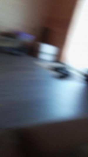 собака оценивает маршмеллоу. я у Риты, мы кланемся собаке