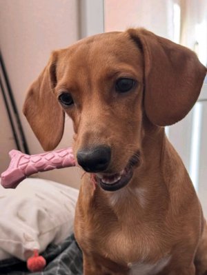 вика у меня