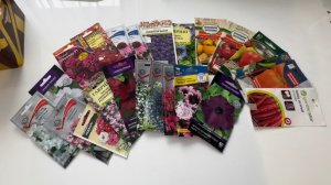 РАССАДА на дачный сезон 2025