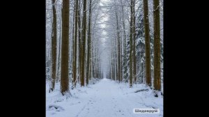 Телефонное мошенничество. Неугомонная лохополиклиника. Автор Карамба.