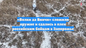 «Волки да Винчи» сложили оружие и сдались в плен российским бойцам в Запорожье